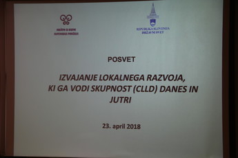 Izvajanje lokalnega razvoja, posvet DS<br>(Avtor: Milan Skledar)