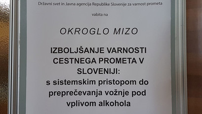 Posvet v Državnem svetu z naslovom Izboljšanje varnosti cestnega prometa <br>(Avtor: Milan Skledar)