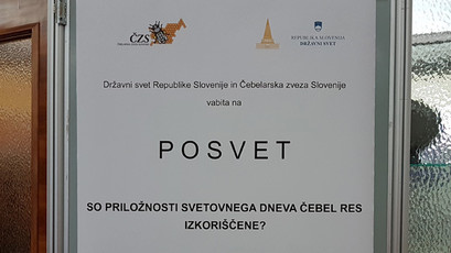 Posvet - So priložnosti svetovnega dneva čebel res izkoriščene?<br>(Avtor: Milan Skledar)