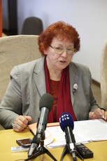 Novinarska konferenca ZL-DSD<br>(Avtor: Milan Skledar)