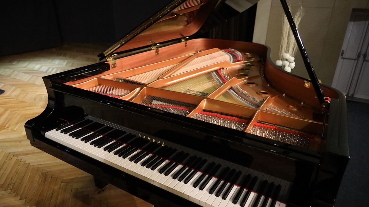 <br>(Avtor: Milan Skledar)