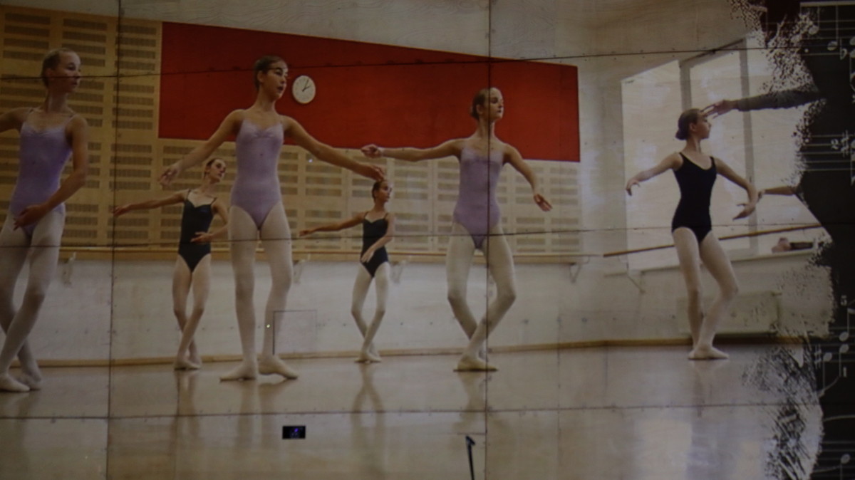 <br>(Avtor: Milan Skledar)