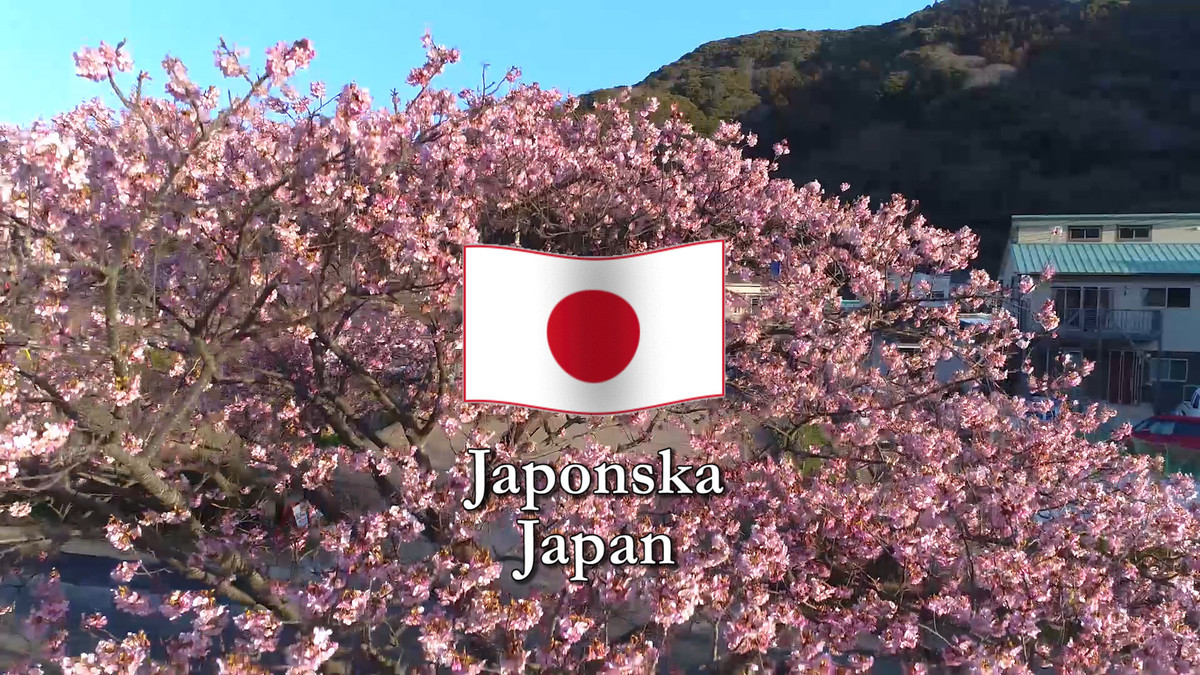 Združene rastoče knjige sveta - JAPONSKA<br>(Avtor: Milan Skledar)