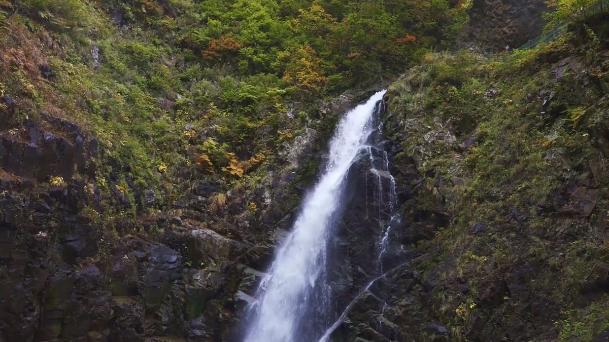 Združene rastoče knjige sveta - JAPONSKA<br>(Avtor: Milan Skledar)