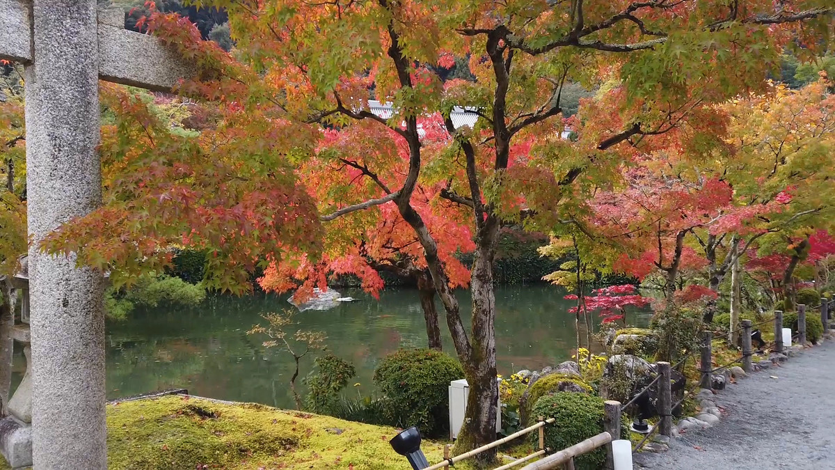 Združene rastoče knjige sveta - JAPONSKA<br>(Avtor: Milan Skledar)