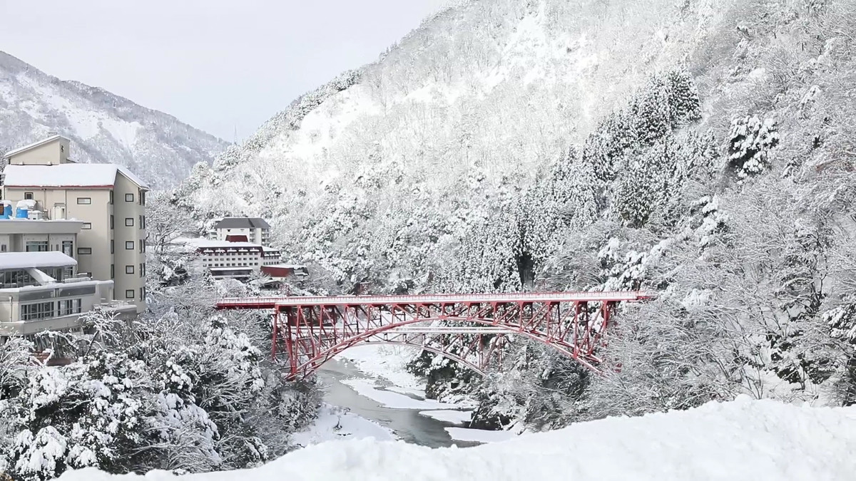 Združene rastoče knjige sveta - JAPONSKA<br>(Avtor: Milan Skledar)