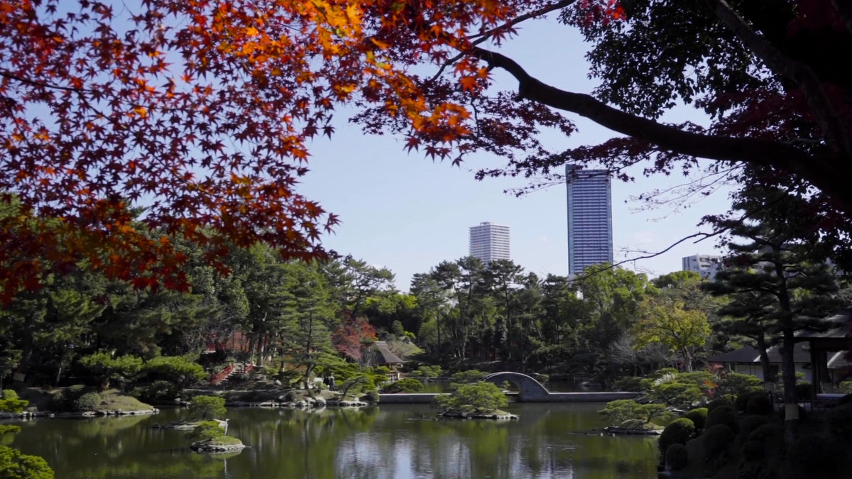 Združene rastoče knjige sveta - JAPONSKA<br>(Avtor: Milan Skledar)