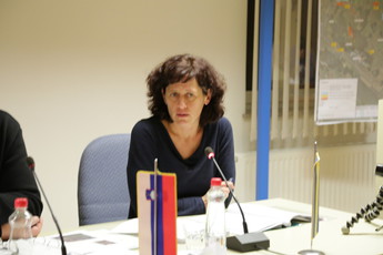 13. redna seja Občinskega sveta občine Cerklje na Gorenjskem <br>(Avtor: Milan Skledar)