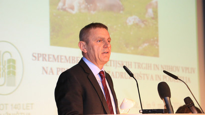<br>(Avtor: Milan Skledar)