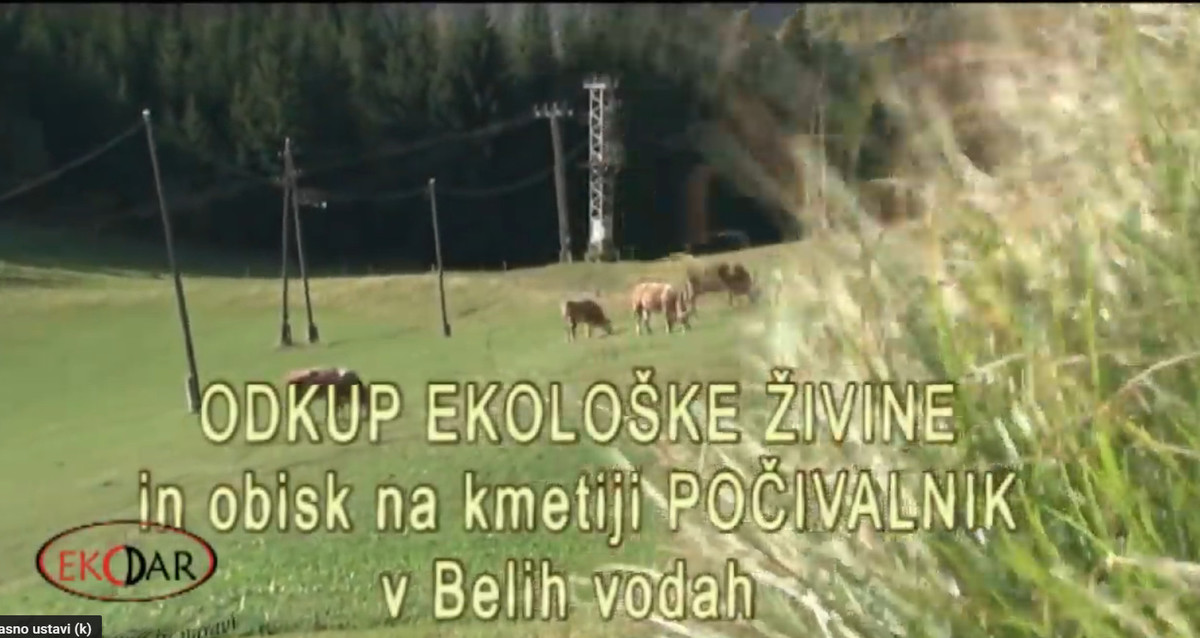 Odkup ekološke živine