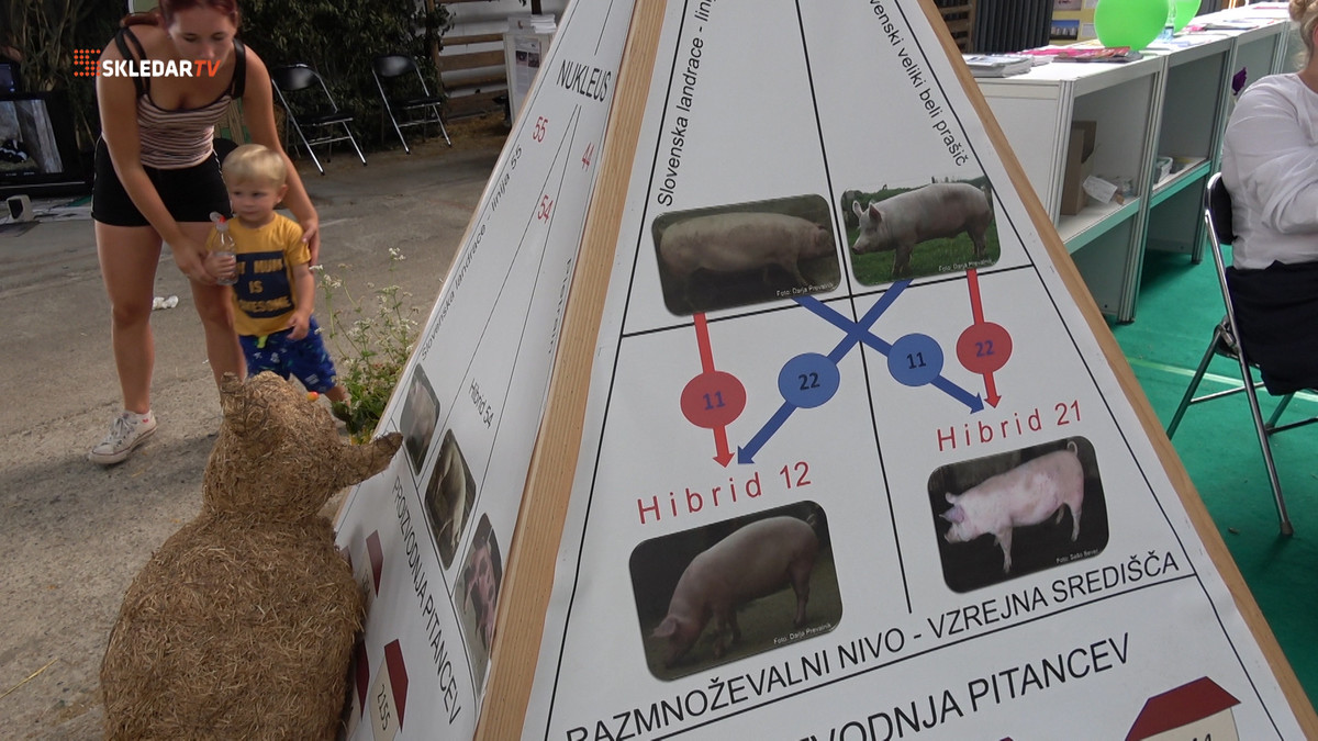 <br>(Avtor: Milan Skledar)