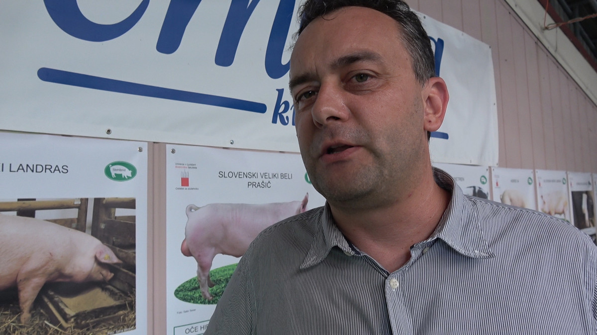 Danilo Meolic, prašičerejec iz Bakovec pri Murski Soboti<br>(Avtor: Milan Skledar)