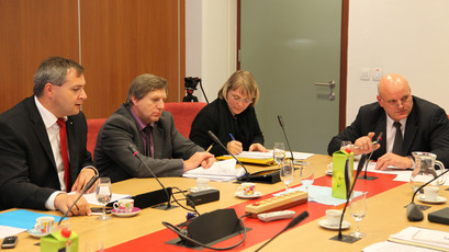 <br>(Avtor: Milan Skledar)