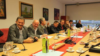 <br>(Avtor: Milan Skledar)