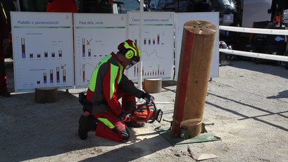 Prikaz varnega dela z motorno žago na sejmu v Komendi (Foto: M. Skledar)<br>(Avtor: Milan Skledar)