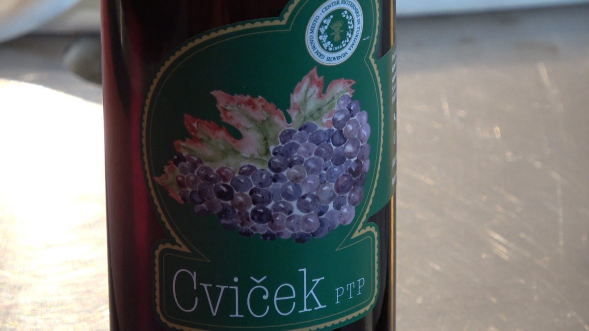 Vino Cviček PTP<br>(Avtor: Milan Skledar)