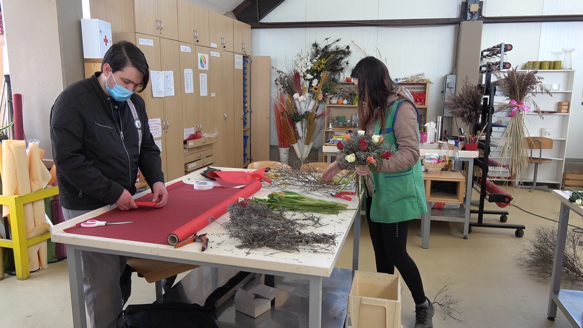 <br>(Avtor: Milan Skledar)