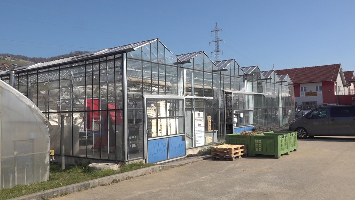 <br>(Avtor: Milan Skledar)