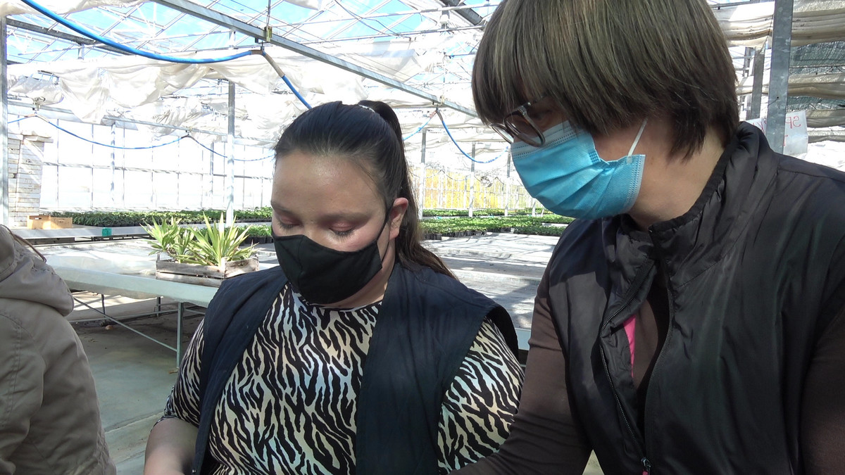 <br>(Avtor: Milan Skledar)