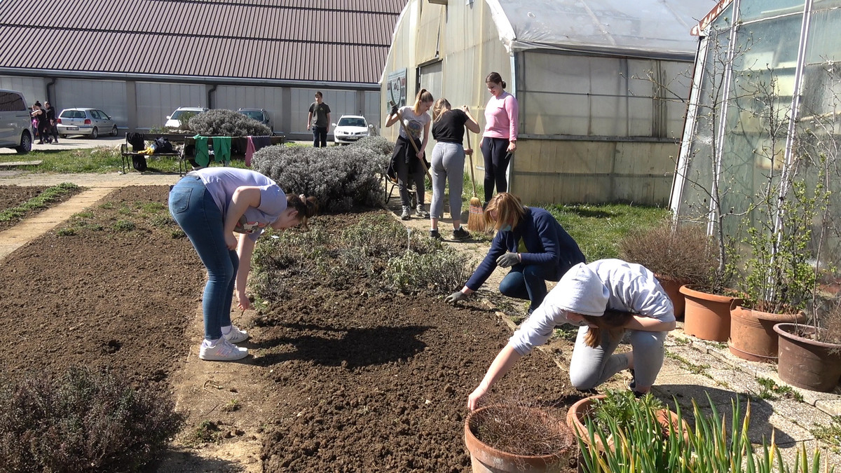 <br>(Avtor: Milan Skledar)