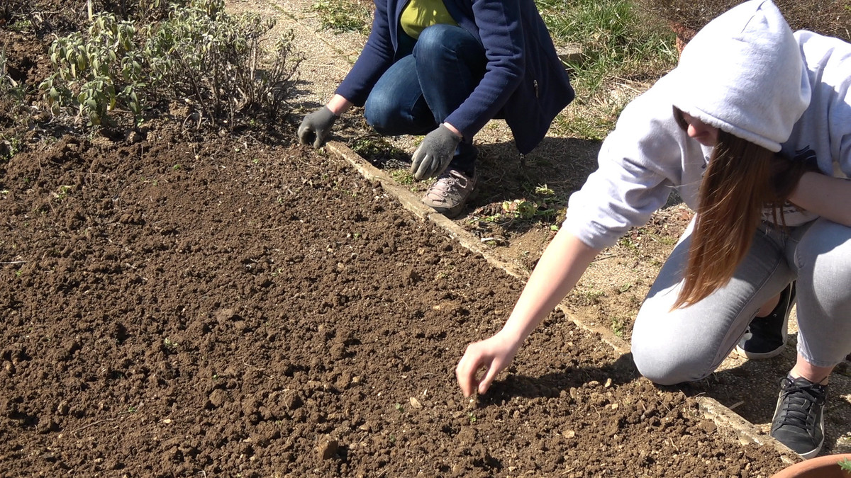 <br>(Avtor: Milan Skledar)