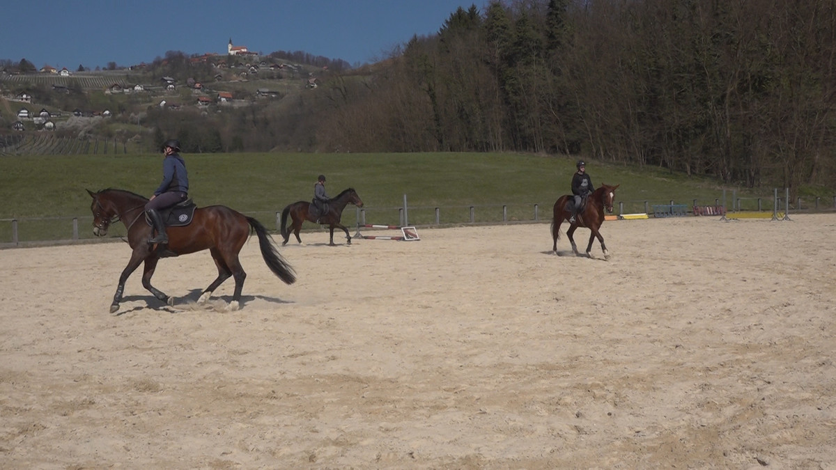 Šola jahanja na Centru biotehnike in turizma GRM Novo mesto<br>(Avtor: Milan Skledar)