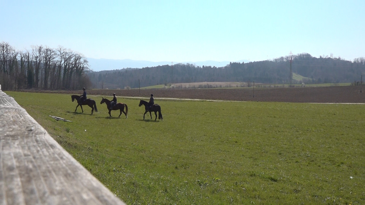 Šola jahanja na Centru biotehnike in turizma GRM Novo mesto<br>(Avtor: Milan Skledar)