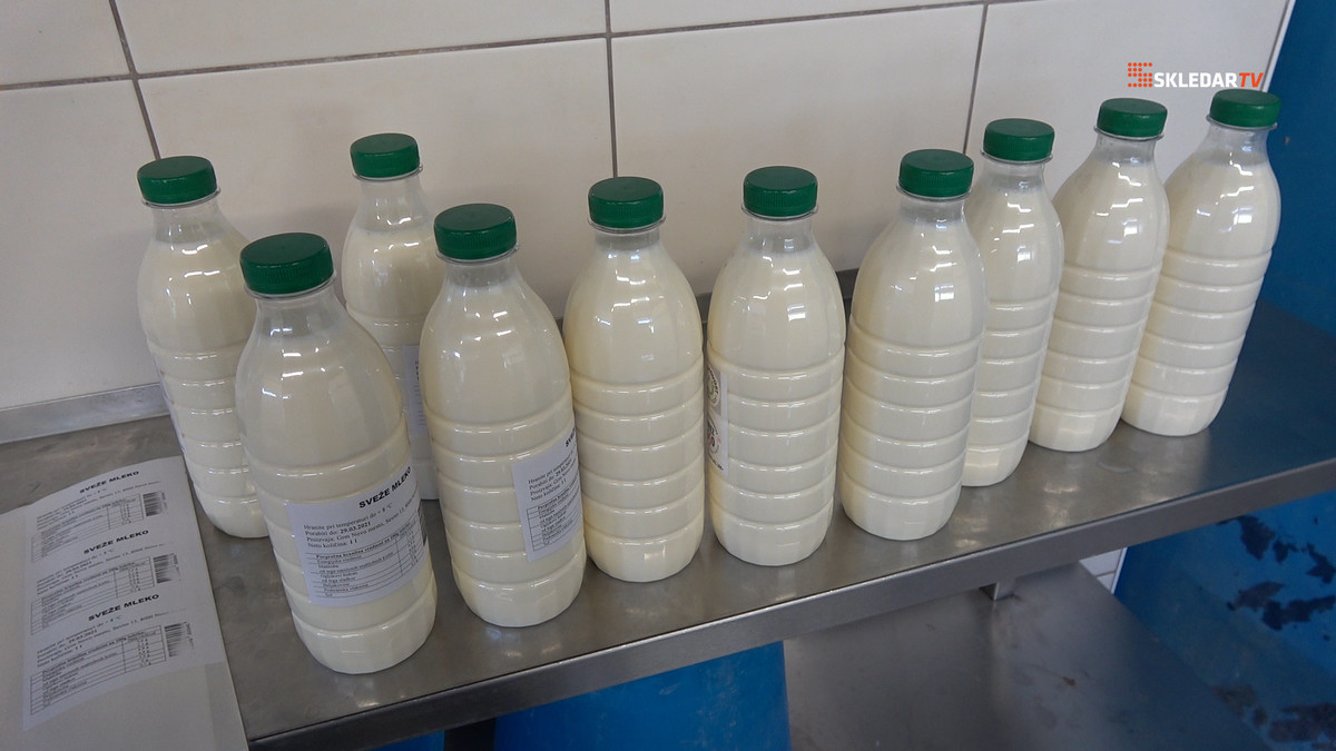 <br>(Avtor: Milan Skledar)