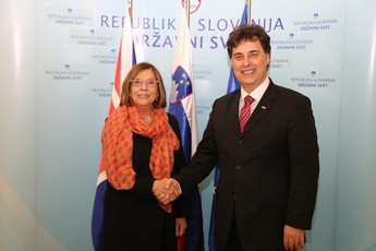 <br>(Avtor: Milan Skledar)