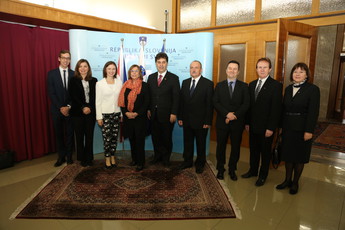 <br>(Avtor: Milan Skledar)