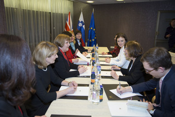 <br>(Avtor: Milan Skledar)