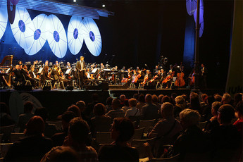 Janoš Kern, direktor Imago Sloveniae in državni svetnik<br>(Avtor: Milan Skledar)