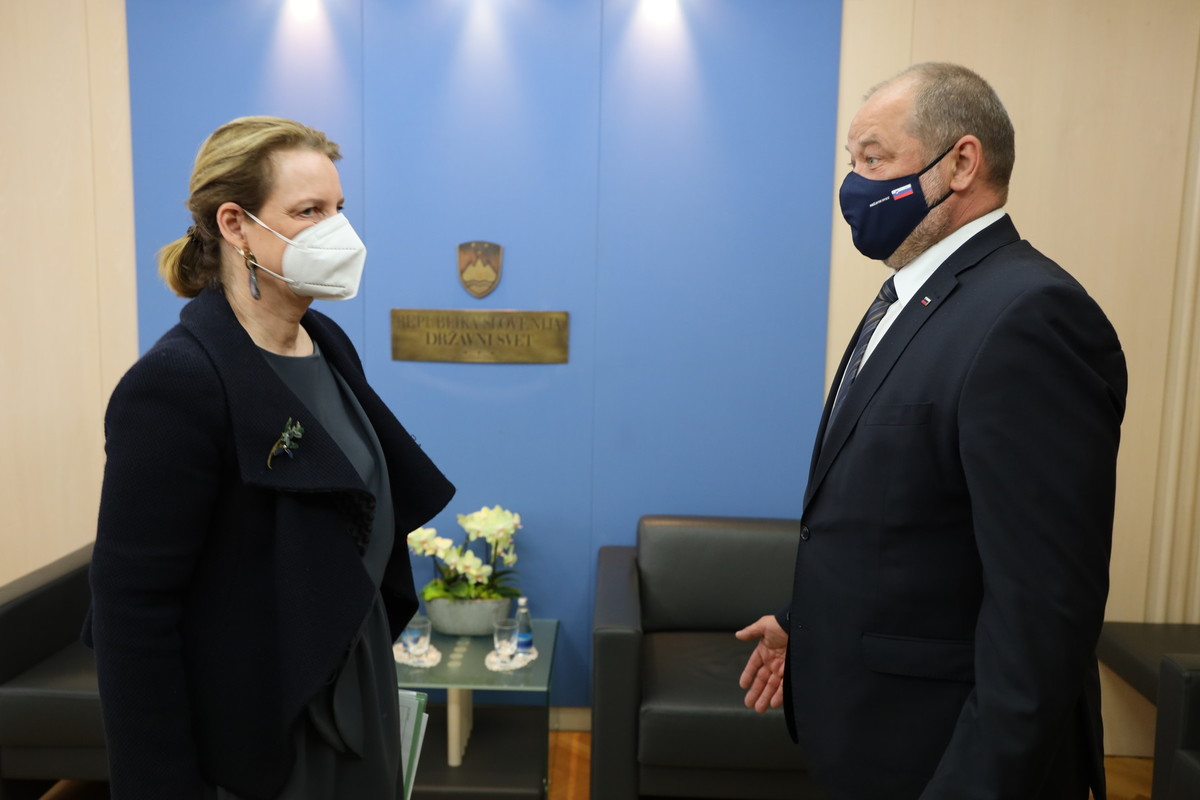 <br>(Avtor: Milan Skledar)