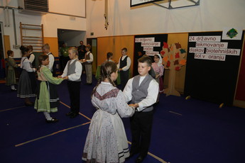 <br>(Avtor: Milan Skledar)