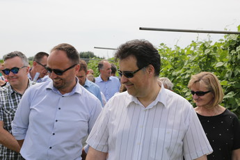 <br>(Avtor: Milan Skledar)
