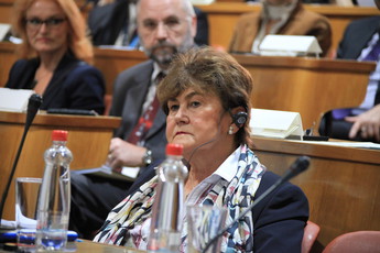 <br>(Avtor: Milan Skledar)