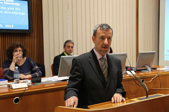 <br>(Avtor: Milan Skledar)