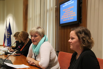 <br>(Avtor: Milan Skledar)