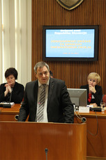<br>(Avtor: Milan Skledar)