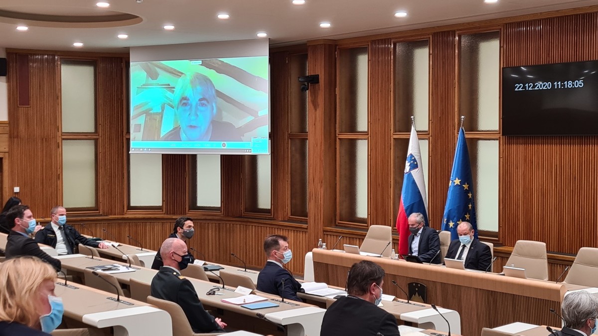 prof. dr. Ljubica Jelušič, Katedra za obramboslovje na Fakulteti za družbene vede, Univeza v Ljubljani na posvetu o nujnosti investicij v Slovensko vojsko (SV) v DS, 2020<br>(Avtor: Milan Skledar)