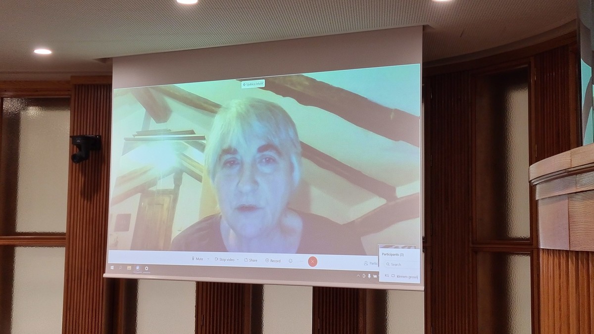 prof. dr. Ljubica Jelušič, Katedra za obramboslovje na Fakulteti za družbene vede, Univeza v Ljubljani na posvetu o nujnosti investicij v Slovensko vojsko (SV) v DS, 2020<br>(Avtor: Milan Skledar)
