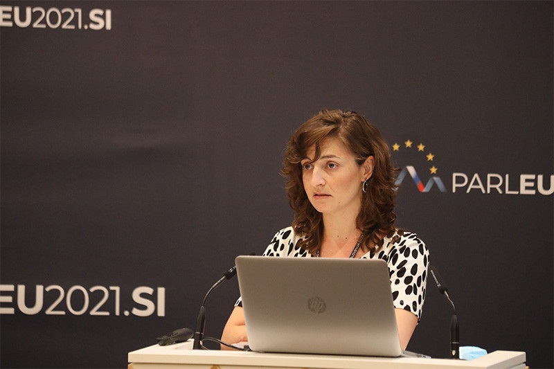 Mednarodna konferenca v Državnem svetu: Navidezna sprava: Tranzicijski procesi v srednji in vzhodni Evropi v primerjalni perspektivi<br>(Avtor: Milan Skledar)