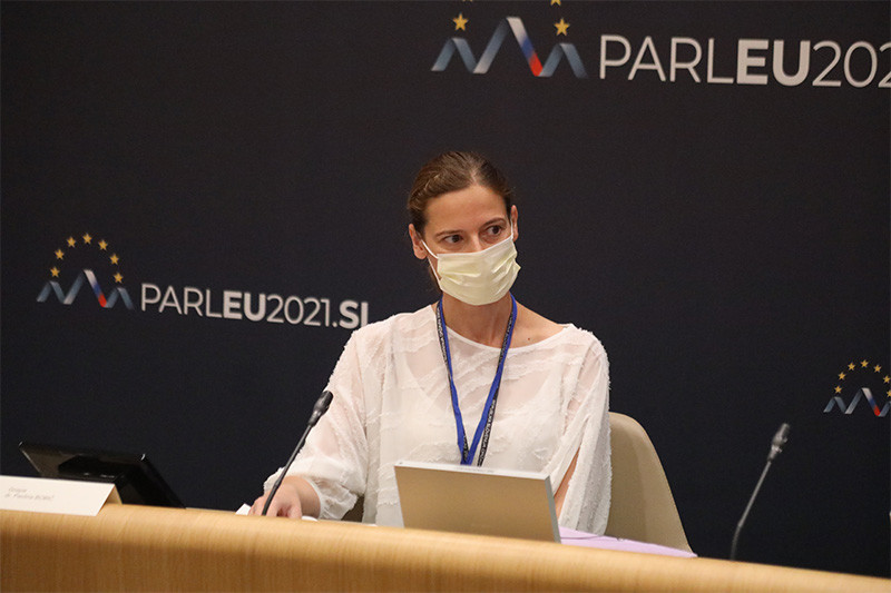 Mednarodna konferenca v Državnem svetu: Navidezna sprava: Tranzicijski procesi v srednji in vzhodni Evropi v primerjalni perspektivi<br>(Avtor: Milan Skledar)