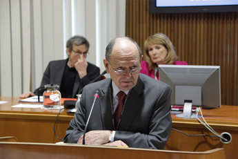<br>(Avtor: Milan Skledar)