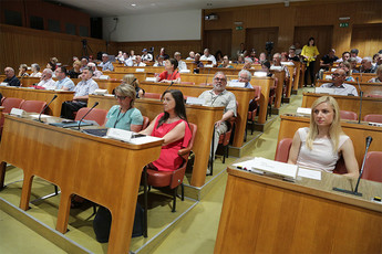 Poslušalci in govorniki na posvetu o človekovih pravicah invalidov<br>(Avtor: Milan Skledar)