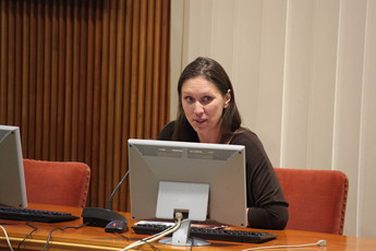 <br>(Avtor: Milan Skledar)