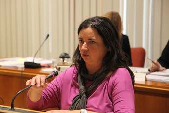 <br>(Avtor: Milan Skledar)