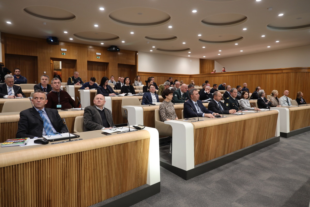 Posvet v Državnem svetu: predstavitev Bele knjige o obrambi Republike Slovenije, 21. januar 2020<br>(Avtor: Milan Skledar)
