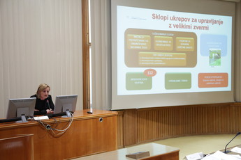 <br>(Avtor: Milan Skledar)