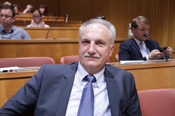 Izvajanje lokalnega razvoja, posvet DS<br>(Avtor: Milan Skledar)